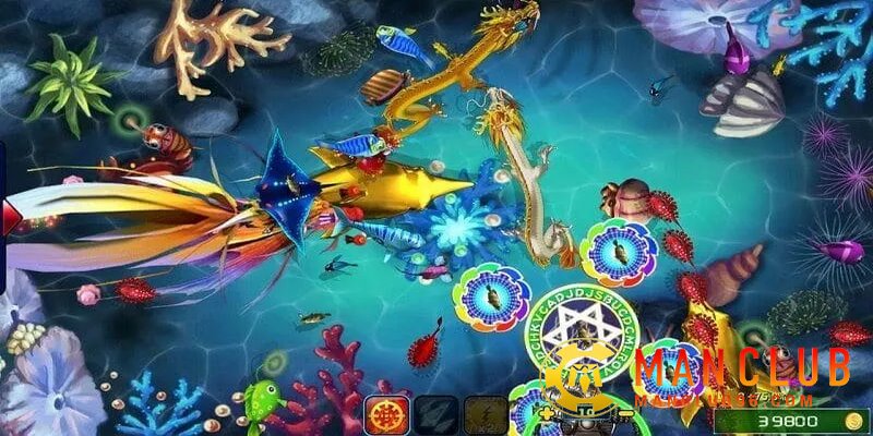 Bet thủ hãy luôn quan sát thật kỹ mọi chuyển động trong game