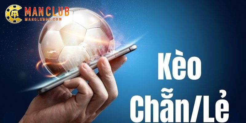 Cược chẵn lẻ cũng có thể áp dụng cho từng đội riêng biệt